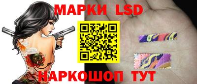 mdpv Гатчина