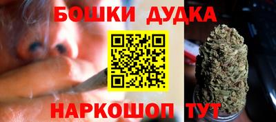 mdpv Гатчина
