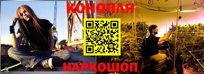 mdpv Гатчина