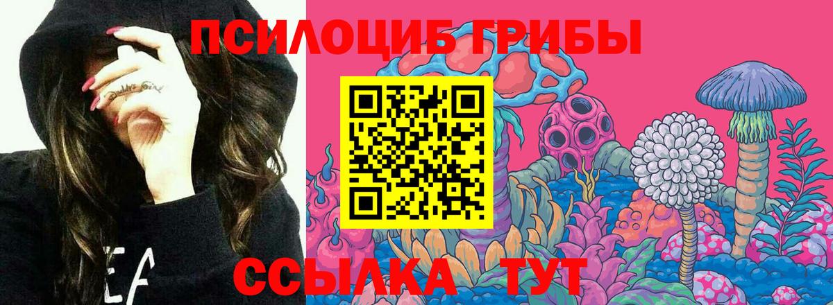 Галлюциногенные грибы ЛСД Мыски