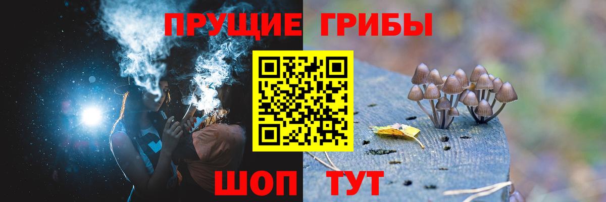 Псилоцибиновые грибы мицелий  Вход с VPN  Мыски 